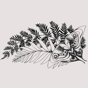 Meet your Posher, Adonis